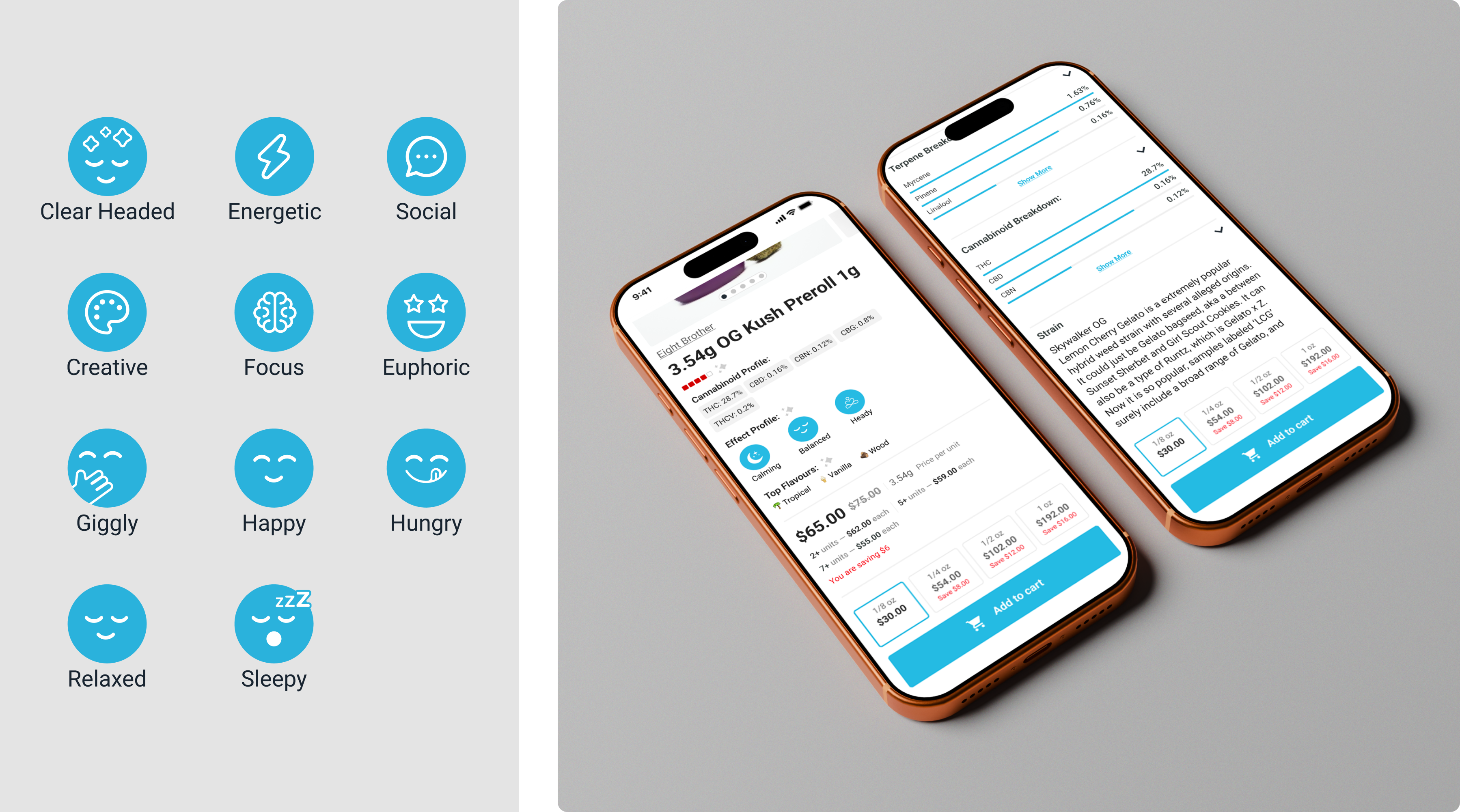 Design Solution
